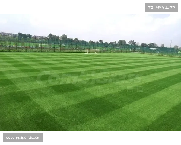 科隆俱乐部宣布主场草坪将更换为混合草系统，以应对密集赛程